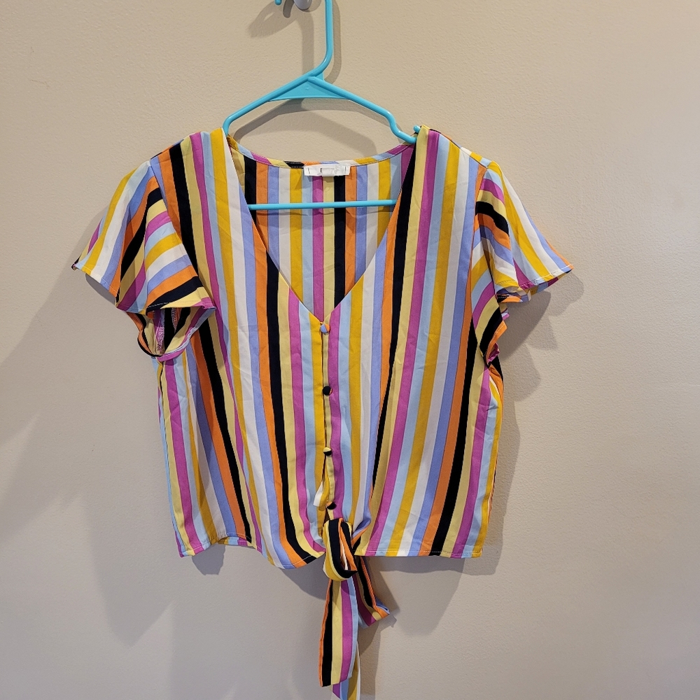 Size L Multicolor Striped Blouse